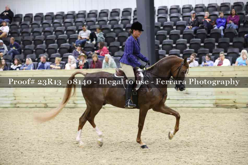 Proof 23R13_08140