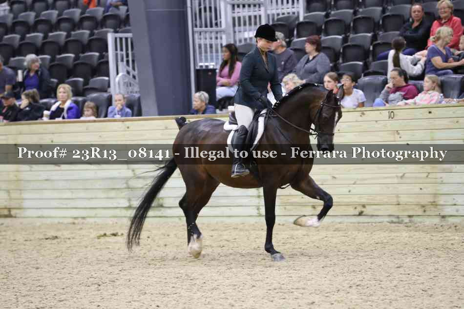 Proof 23R13_08141