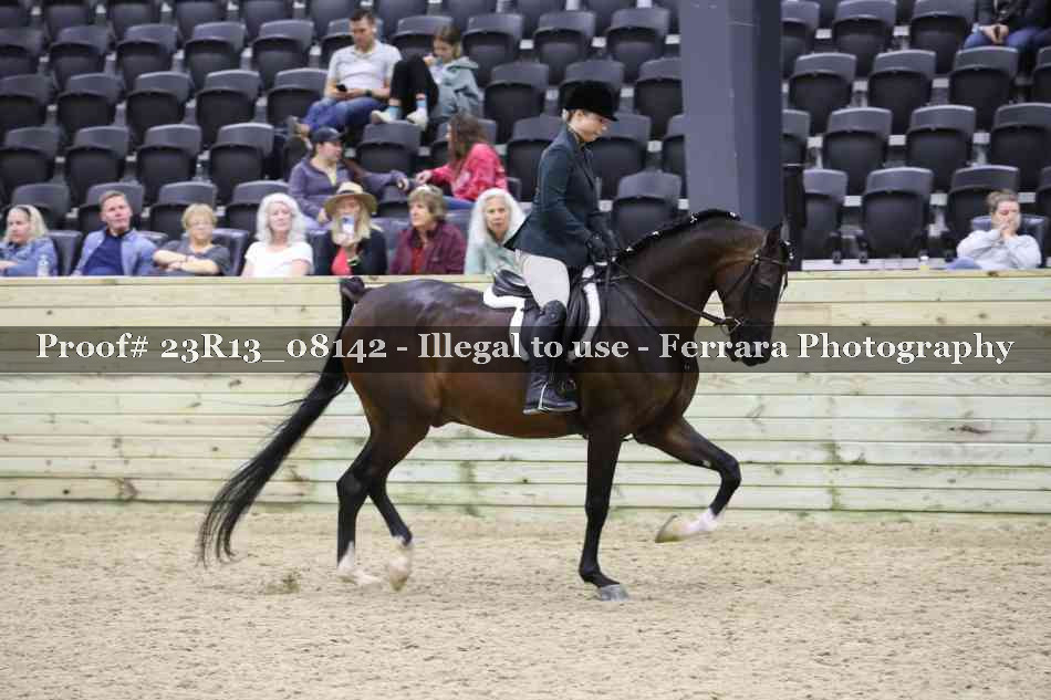 Proof 23R13_08142