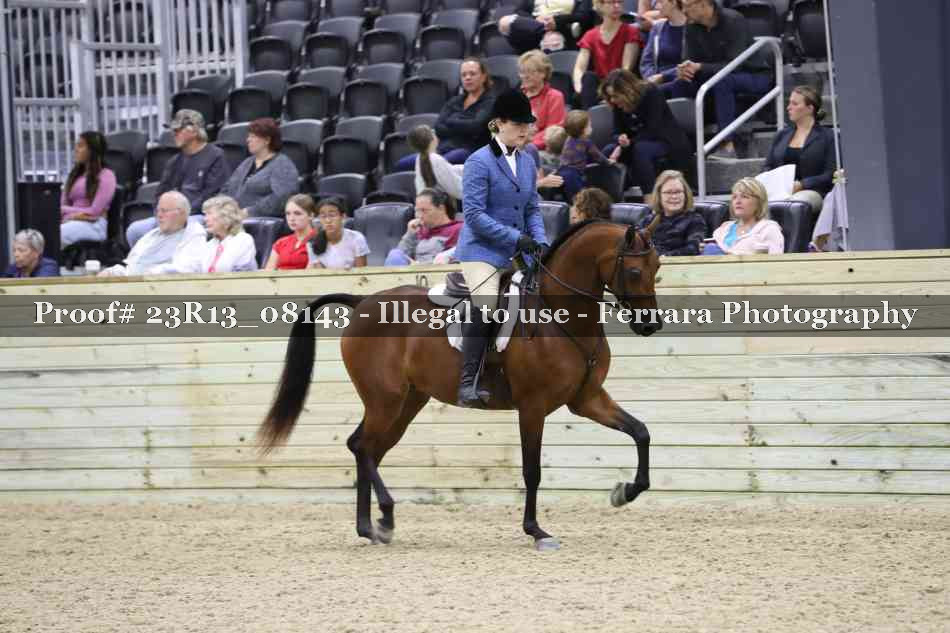 Proof 23R13_08143