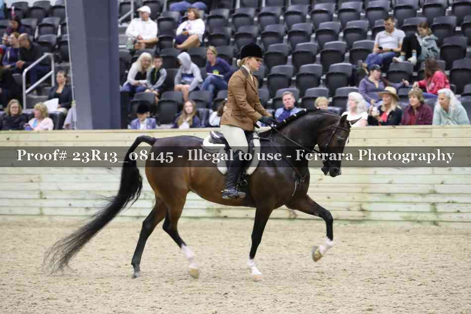 Proof 23R13_08145
