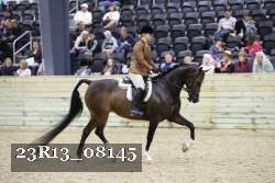23R13_08145 proof
