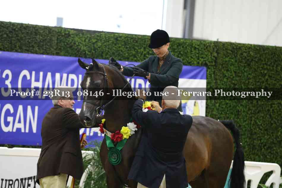 Proof 23R13_08146