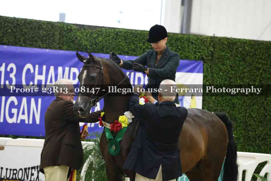 Proof 23R13_08147