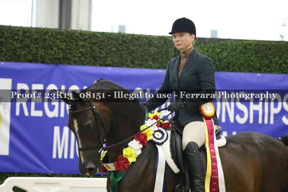 Proof 23R13_08151