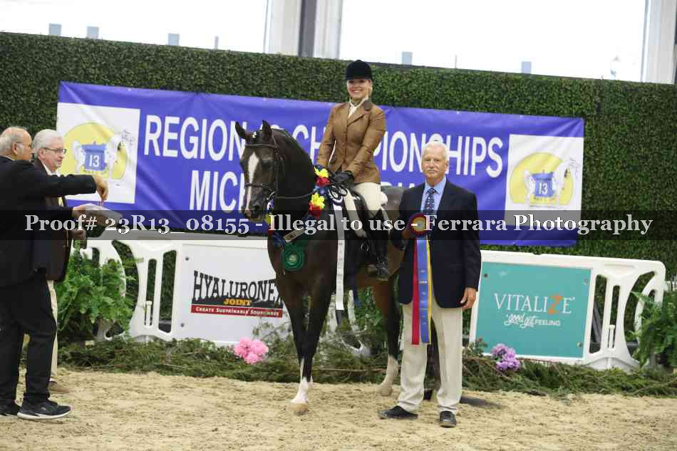 Proof 23R13_08155