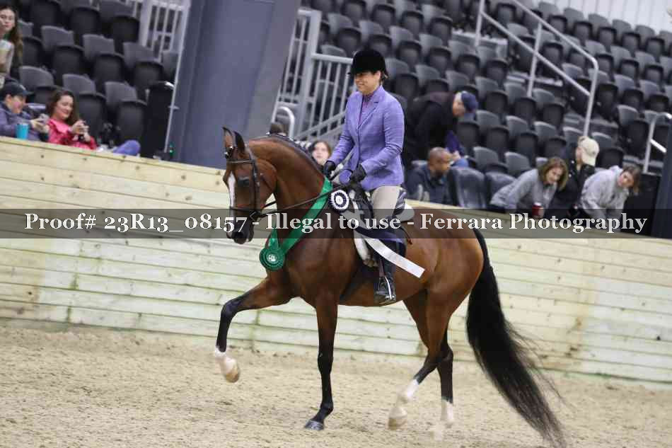 Proof 23R13_08157