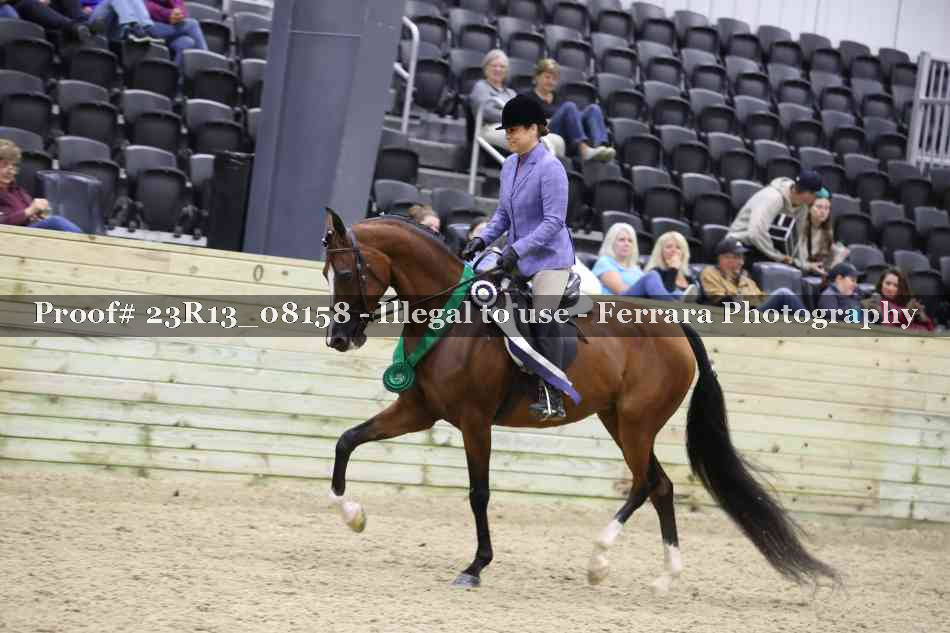 Proof 23R13_08158