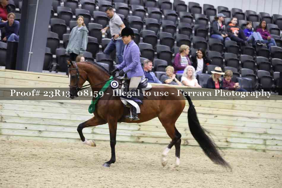 Proof 23R13_08159