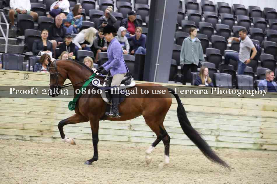 Proof 23R13_08160