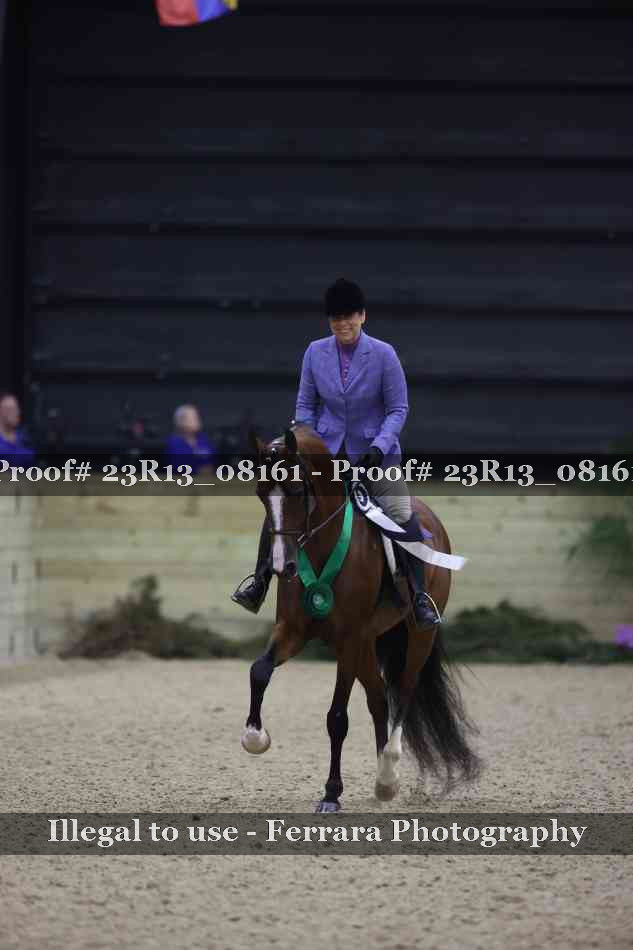 Proof 23R13_08161