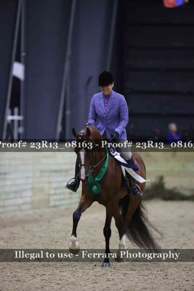 Proof 23R13_08163