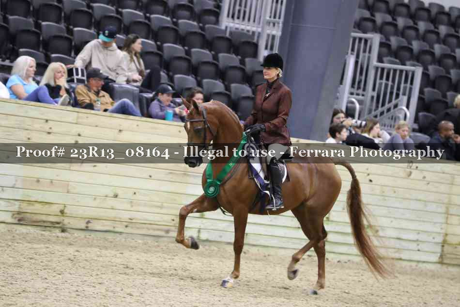 Proof 23R13_08164