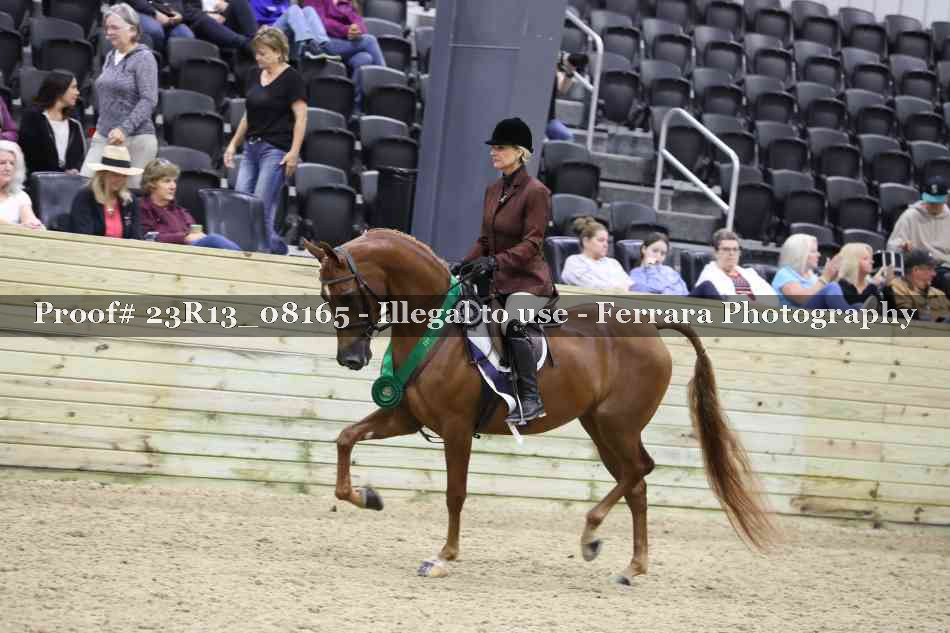 Proof 23R13_08165