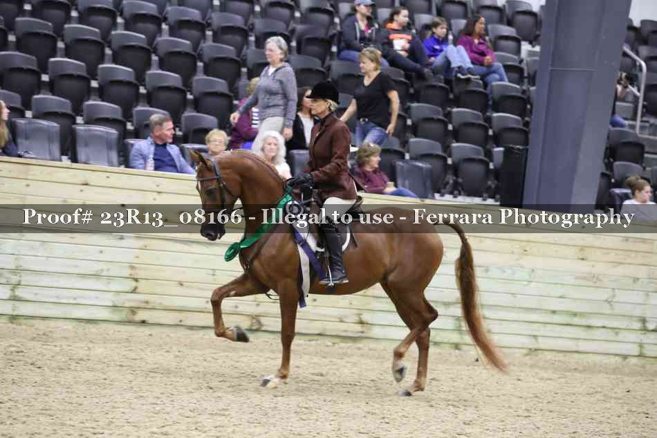 Proof 23R13_08166
