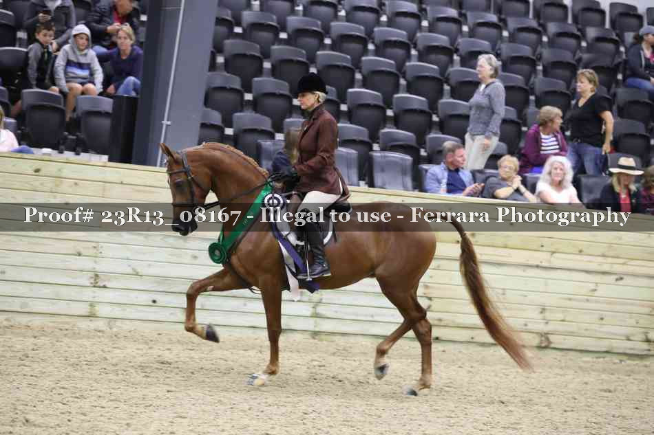 Proof 23R13_08167