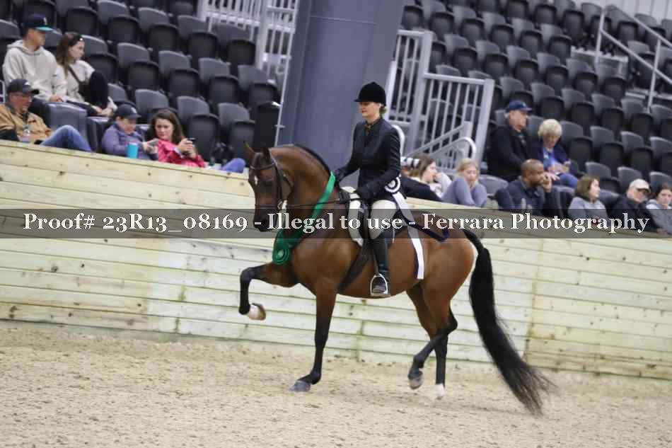 Proof 23R13_08169