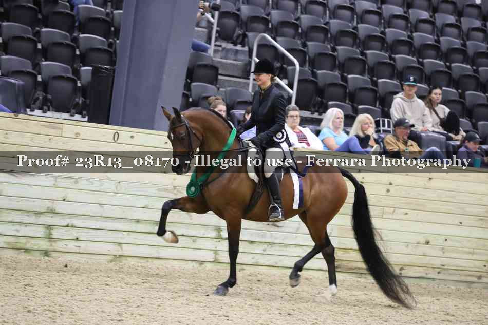 Proof 23R13_08170
