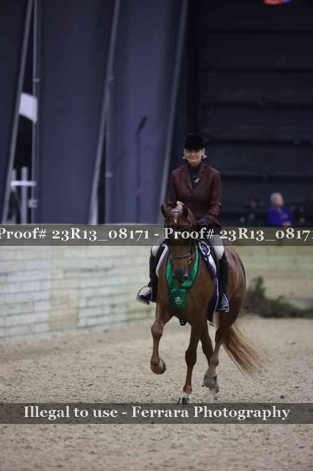 Proof 23R13_08171