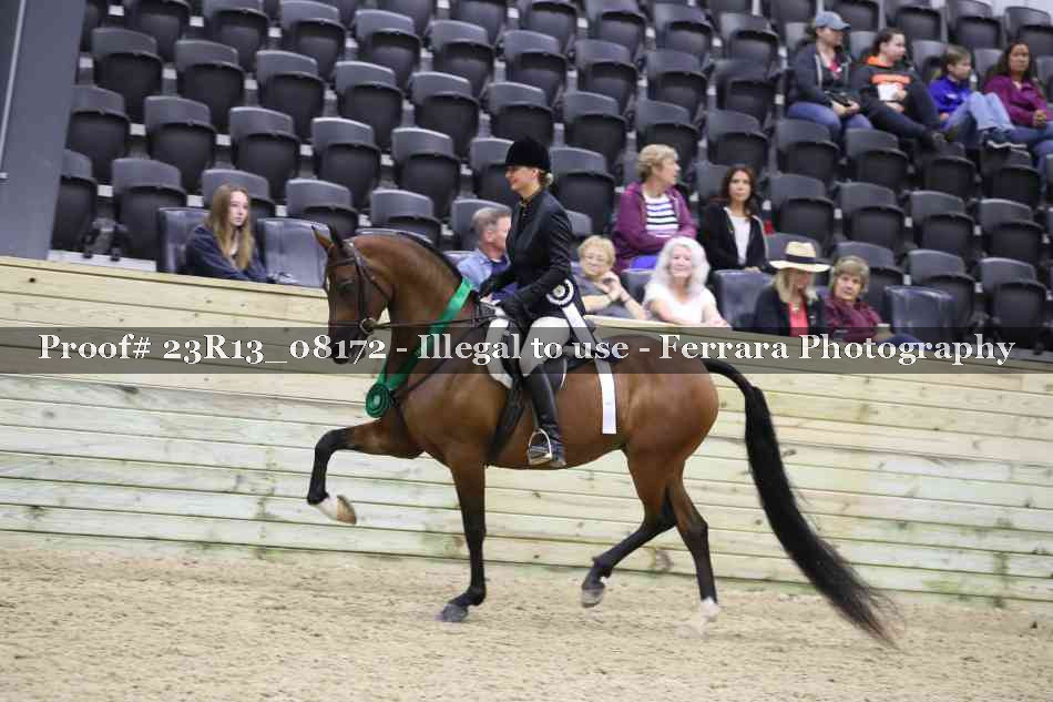 Proof 23R13_08172