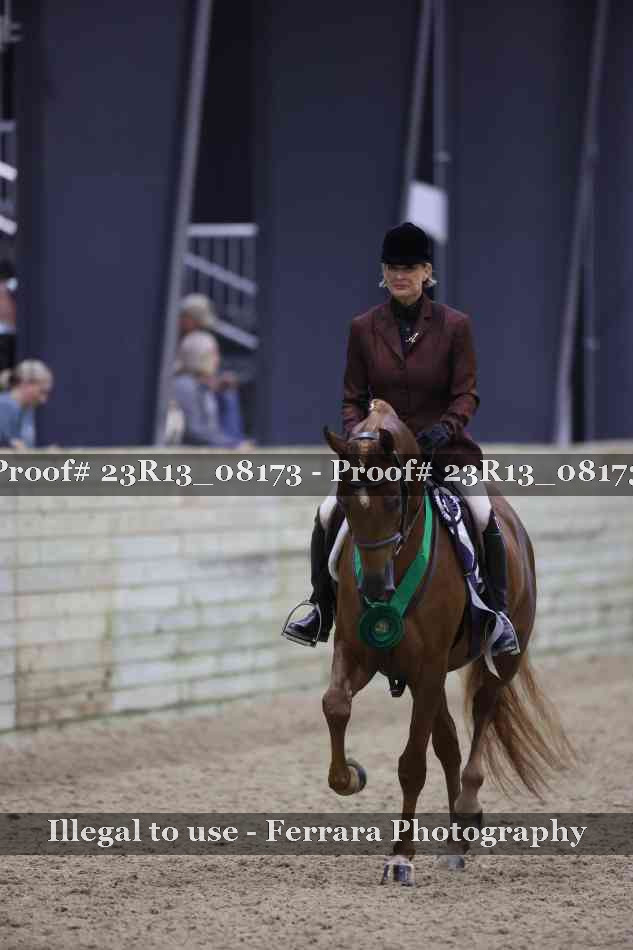 Proof 23R13_08173