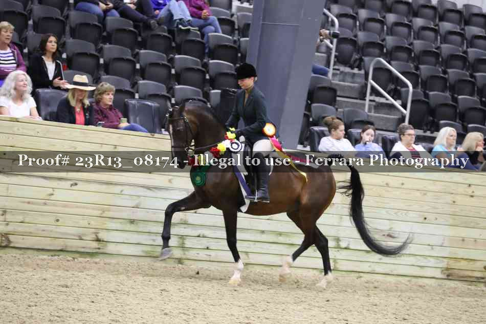 Proof 23R13_08174