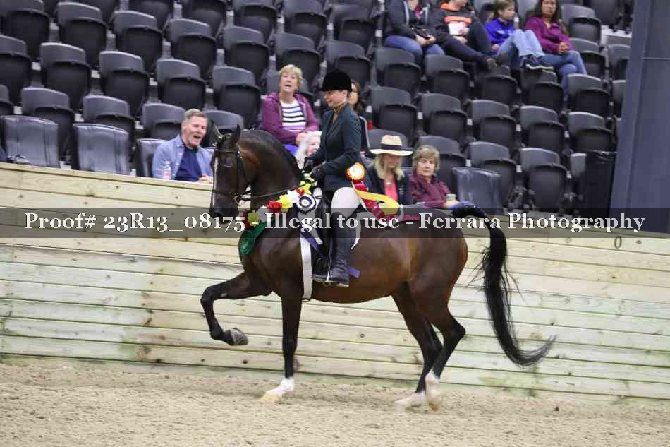 Proof 23R13_08175