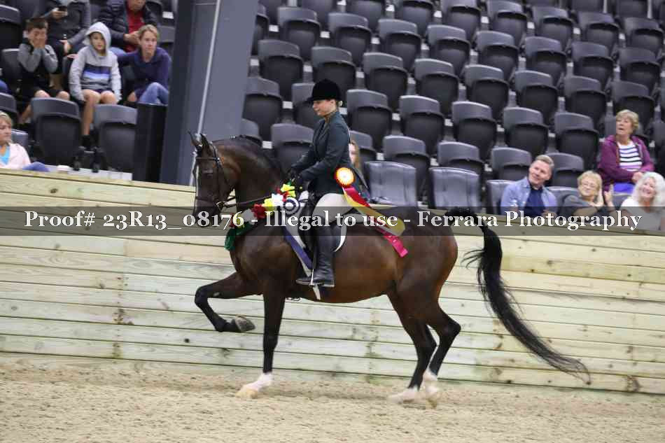 Proof 23R13_08176
