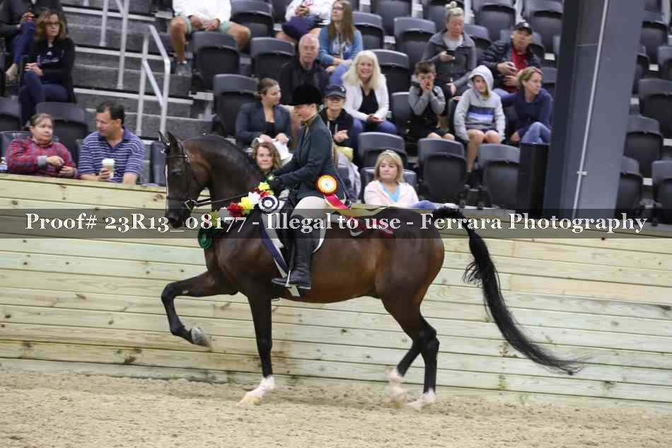 Proof 23R13_08177