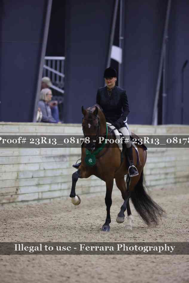 Proof 23R13_08178