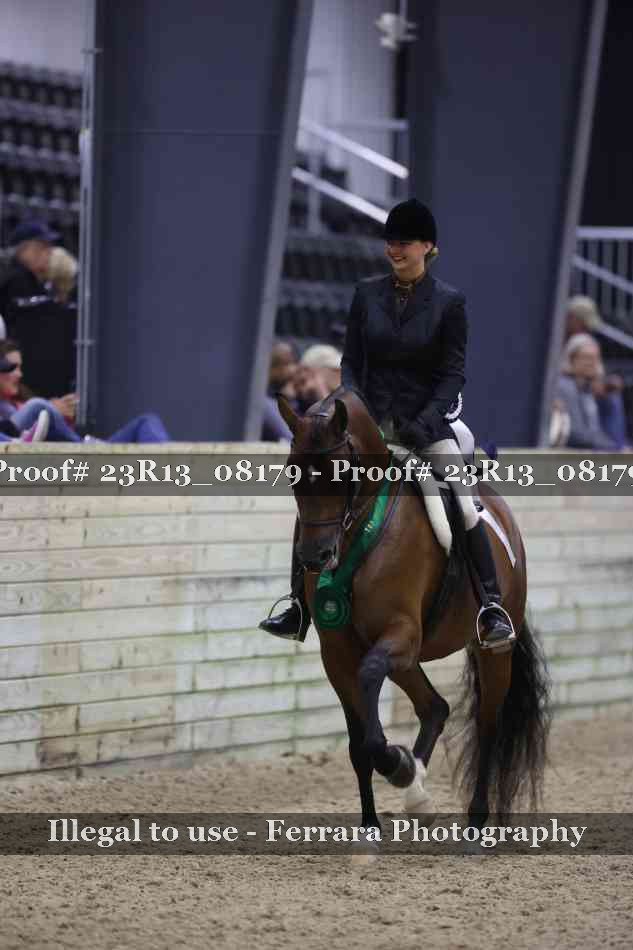 Proof 23R13_08179