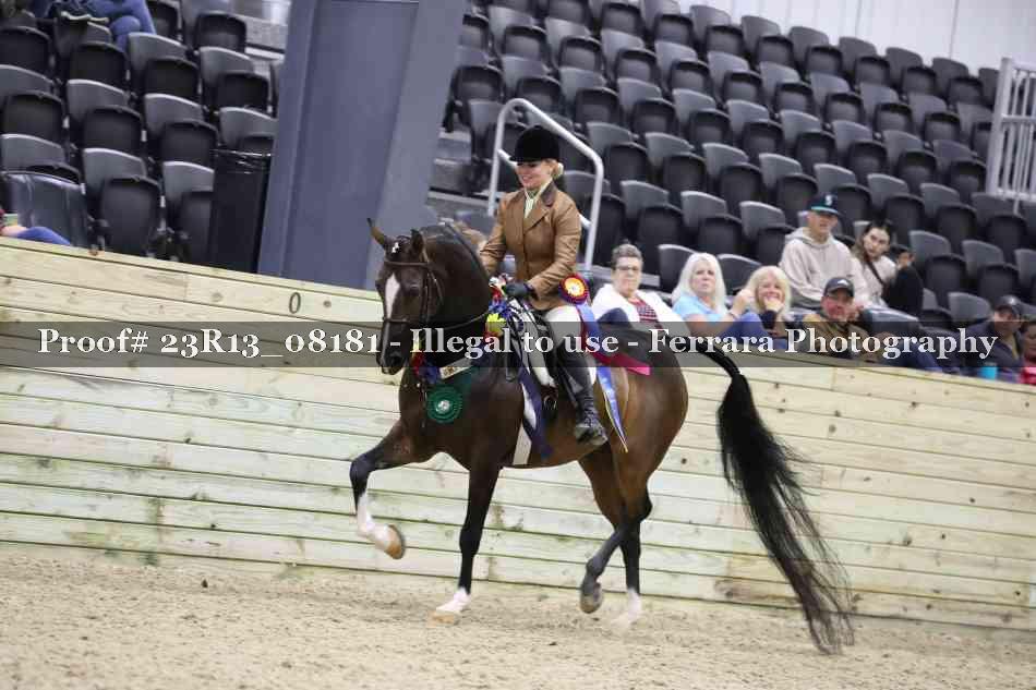 Proof 23R13_08181