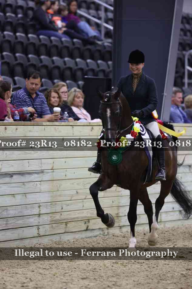 Proof 23R13_08182