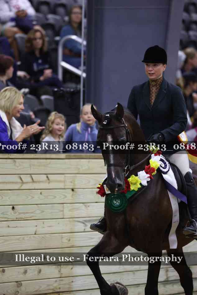 Proof 23R13_08183