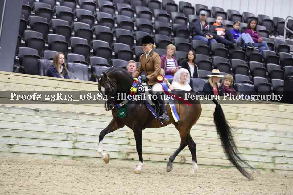 Proof 23R13_08184