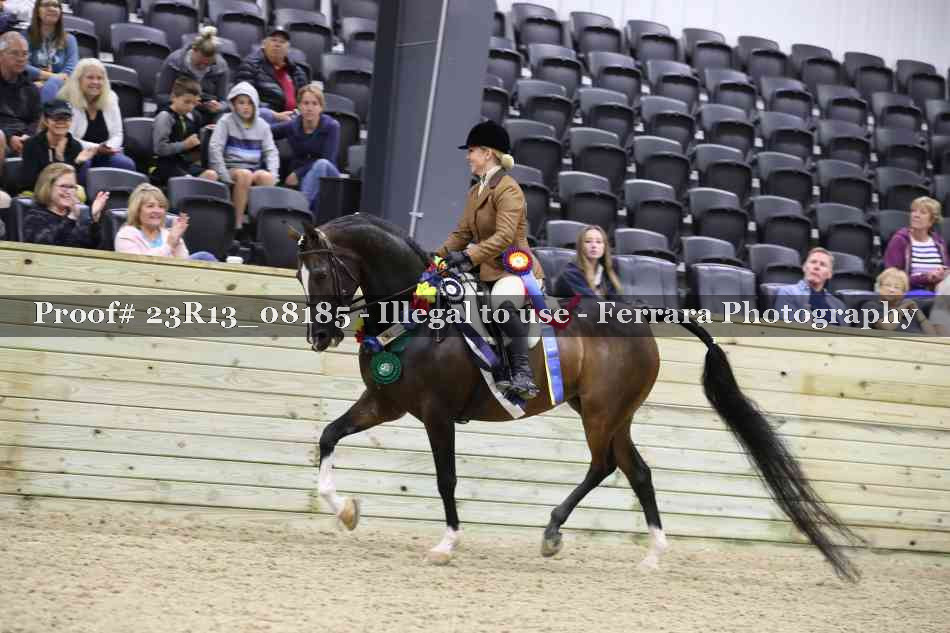Proof 23R13_08185