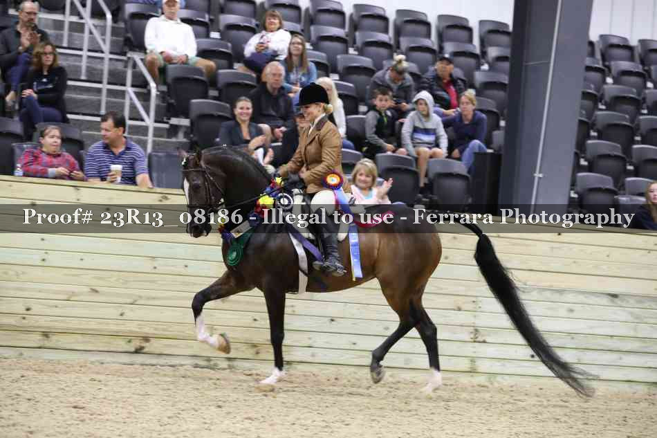 Proof 23R13_08186