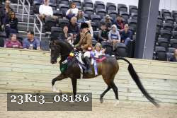 23R13_08186 proof