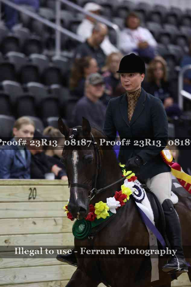 Proof 23R13_08187
