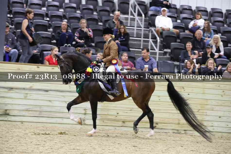 Proof 23R13_08188