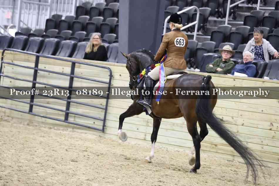 Proof 23R13_08189