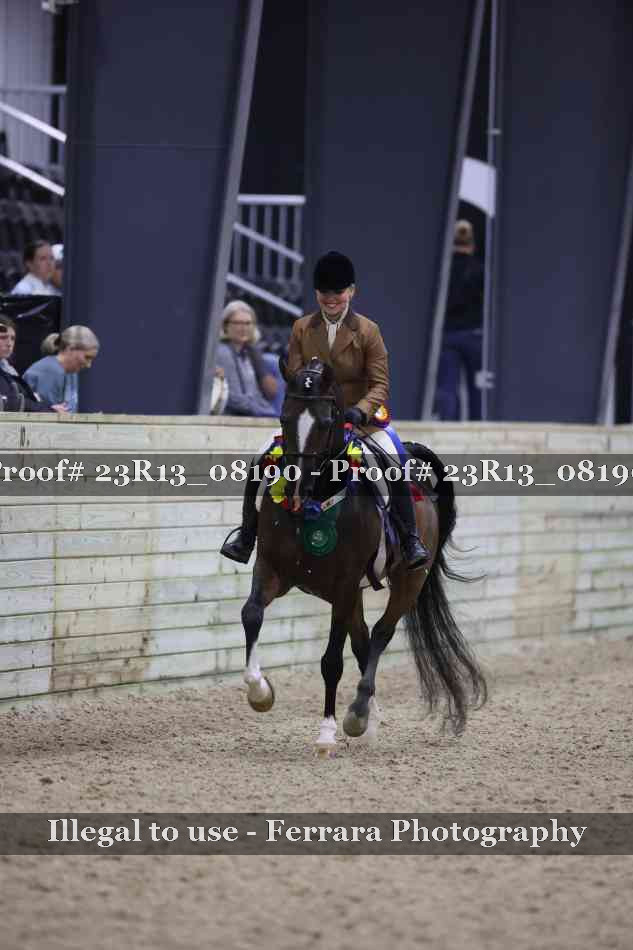 Proof 23R13_08190