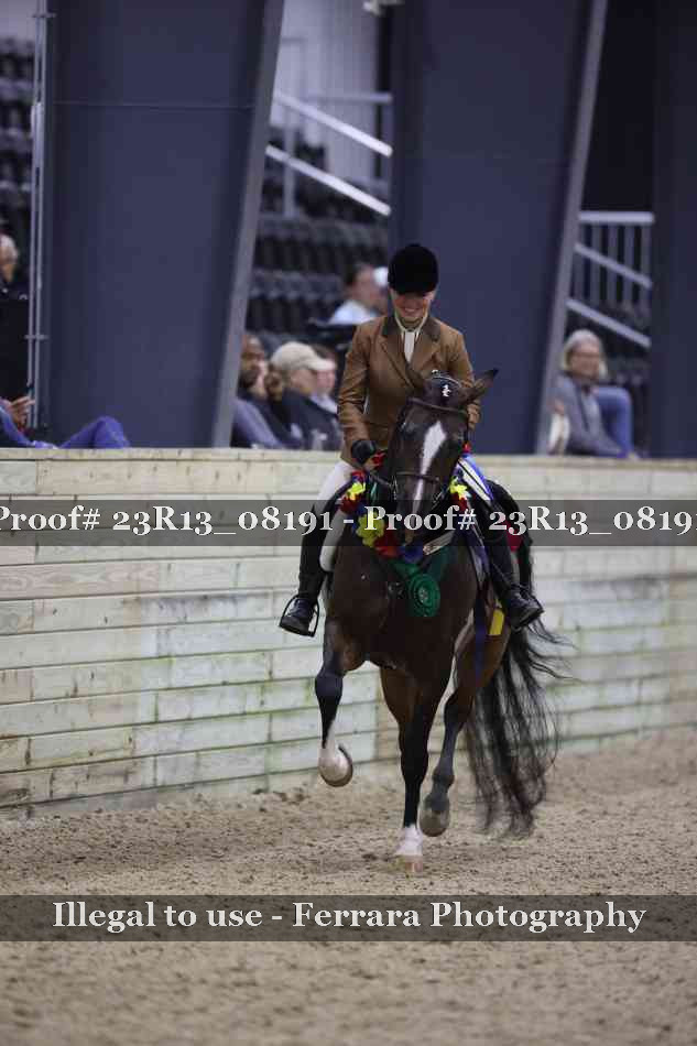 Proof 23R13_08191
