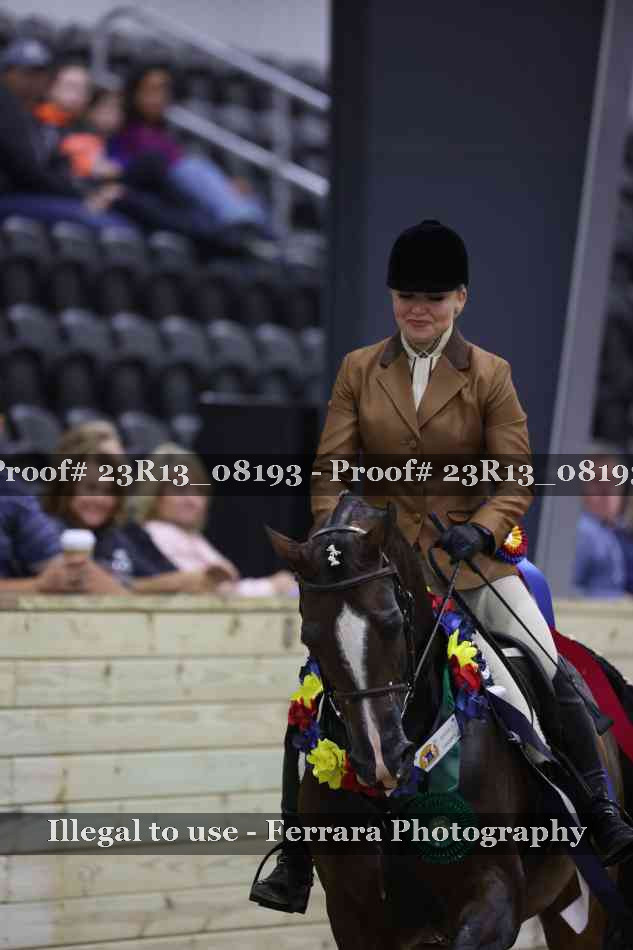 Proof 23R13_08193