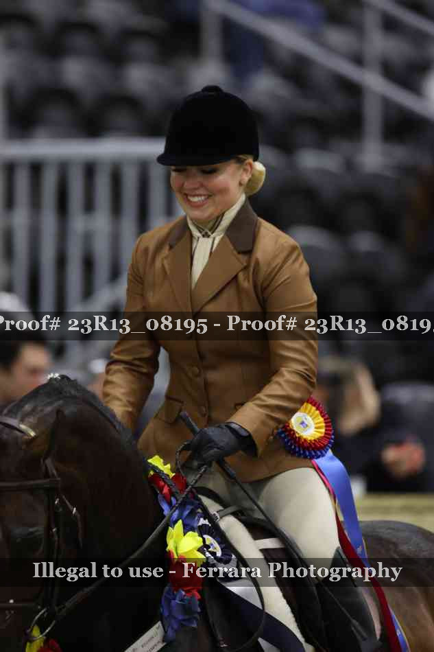 Proof 23R13_08195