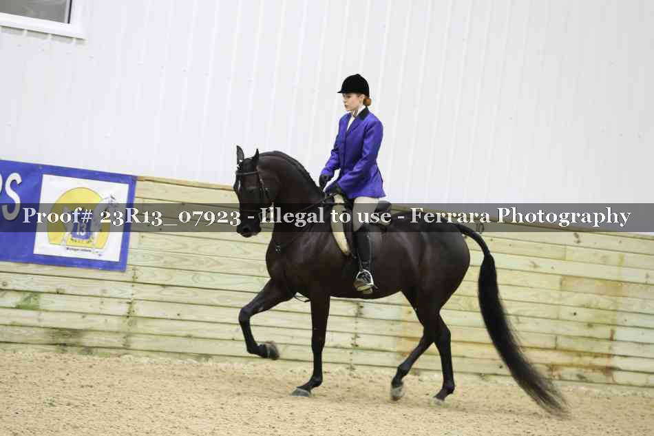 Proof 23R13_07923