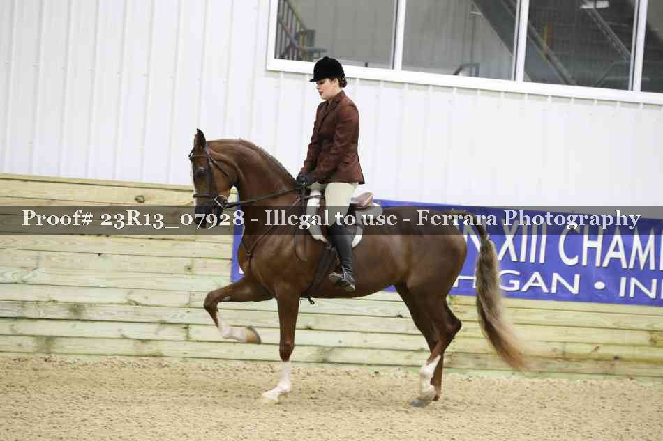 Proof 23R13_07928