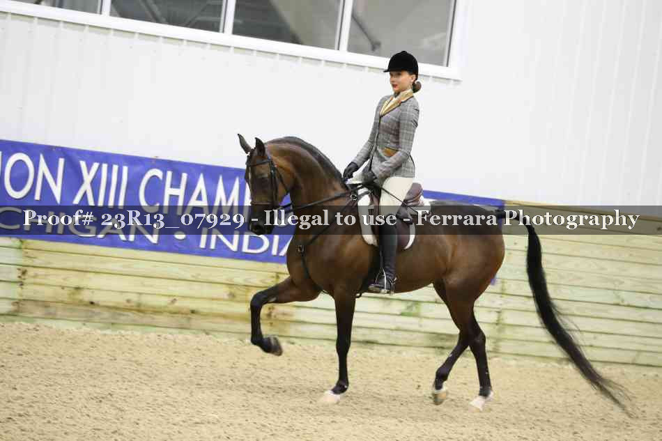 Proof 23R13_07929