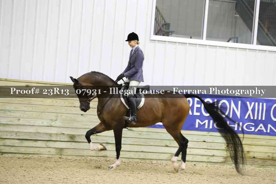 Proof 23R13_07931