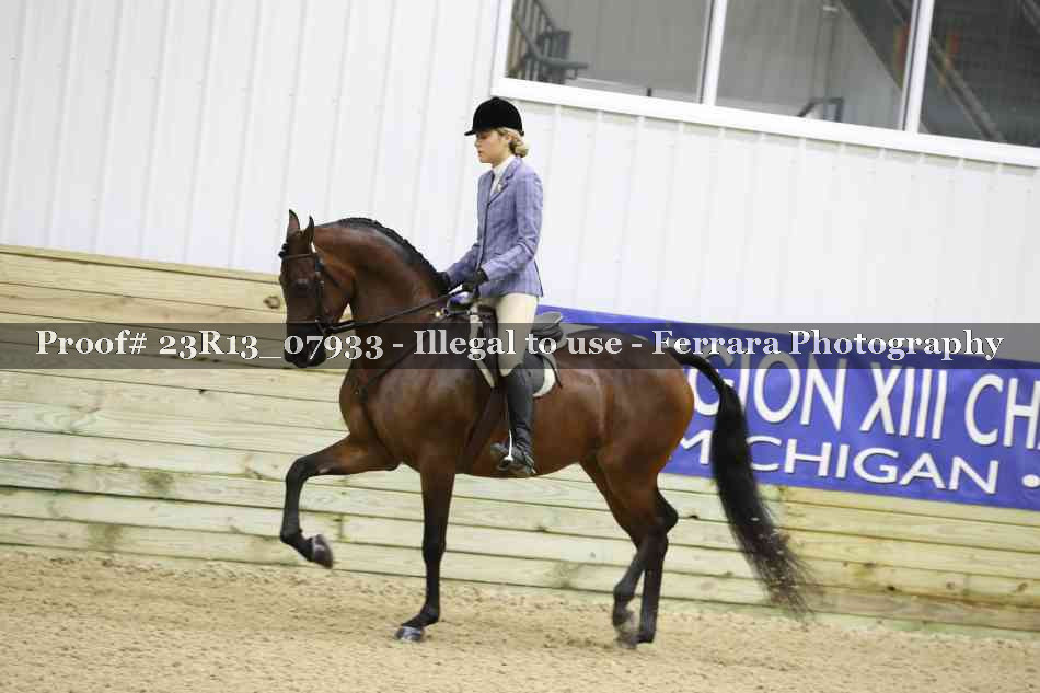 Proof 23R13_07933